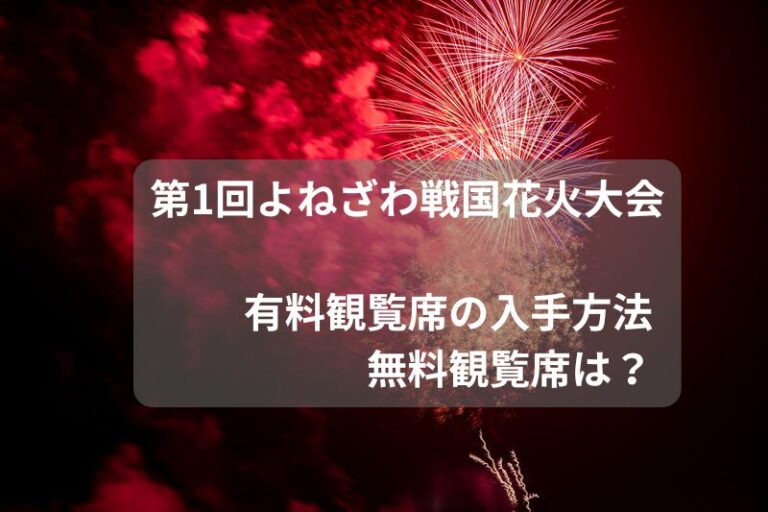 2024年 赤川花火大会 チケット2名分 味わい深